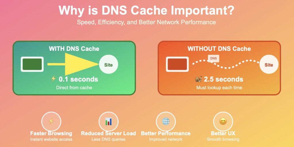 DNS Cache